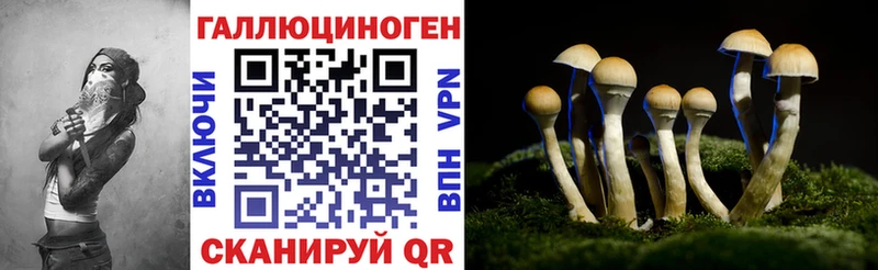 закладка Краснослободск Псилоцибиновые грибы Psilocybe